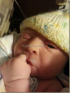 Baby girl just a few minutes old.