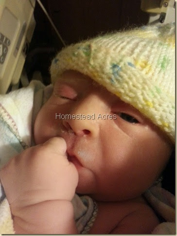 Baby girl just a few minutes old.