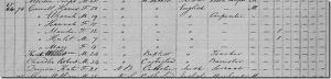 1871 Census for Harriett Crowell in Windsor, N.S.